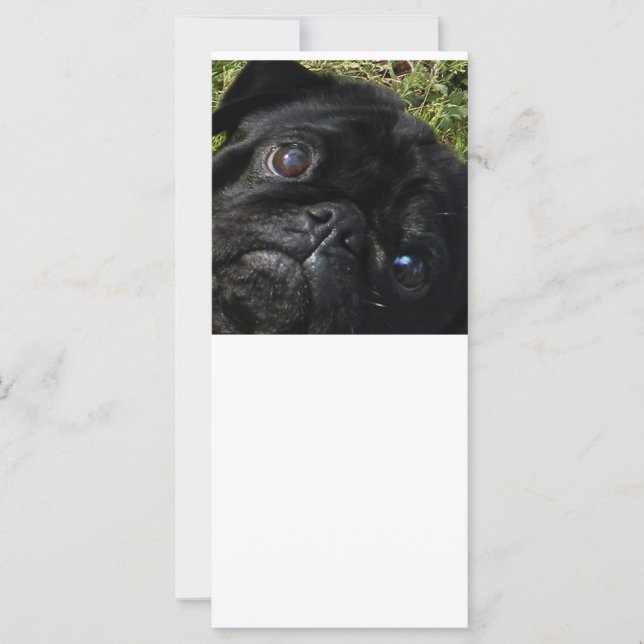 pug olhos de pug preto (Frente)