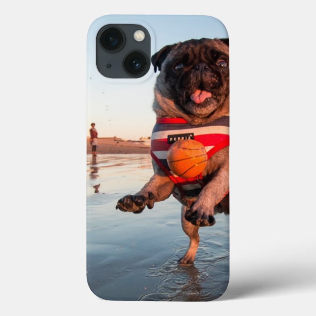 Pug Plays Ball on Beach (Verso)