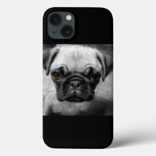 Pug Pup