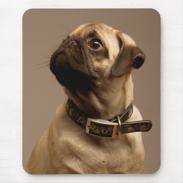 Pug Puppy Dog Canine Computer Mousepad (Frente)