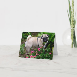 Pug Puppy Dog Vazio Cartão de Nota Saudável