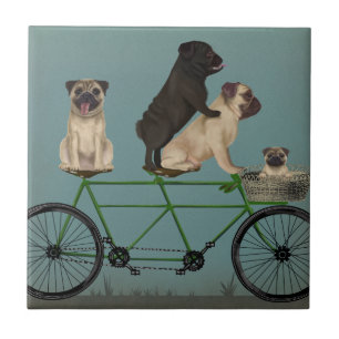 Pug Tandem