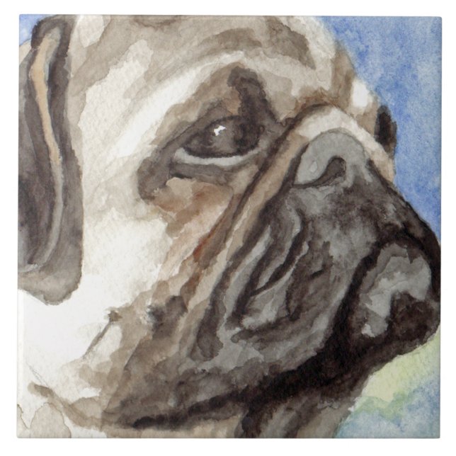 Pug Watercolor Retrato (Frente)