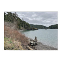 Puget Sound Washington Coast AcryArt