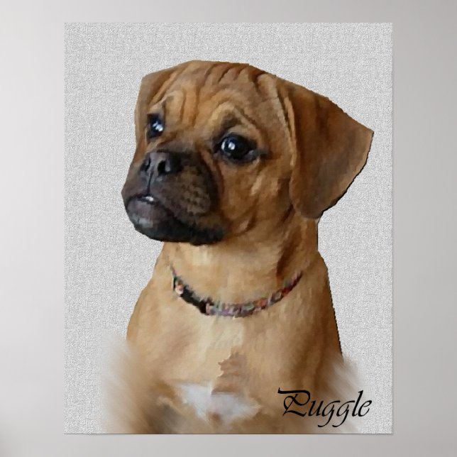 Puggle Art Impressões (Frente)