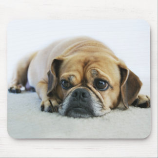 Puggle bonito Mousepad