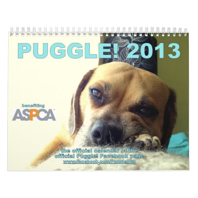 Puggle! Calendário 2013 (Capa)