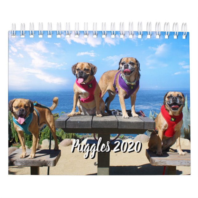 PUGGLE - CALENDÁRIO 2019 (Capa)