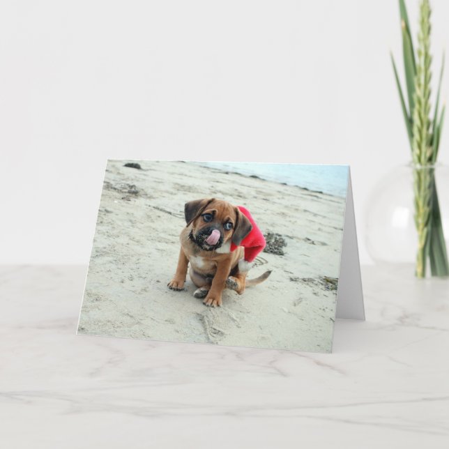 Puggle! Cartão de Férias (Frente)