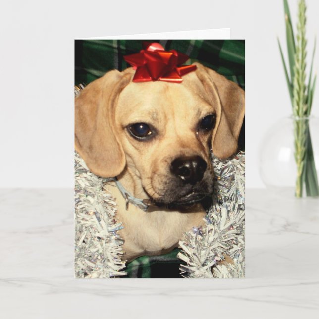 Puggle! Cartão de Natal (Frente)