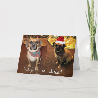 Puggle! Cartão de Natal