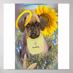 Puggle que Drooling no poster das margaridas