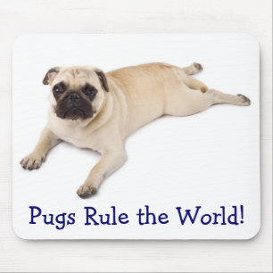 Pugs governa o Mousepad do mundo
