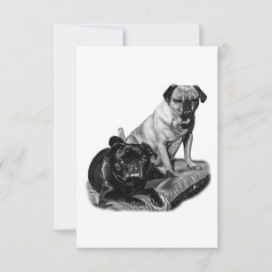 Pugs Gratos, Agradecimento Sombreado