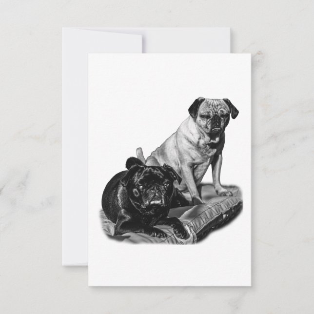 Pugs Gratos, Agradecimento Sombreado (Frente)