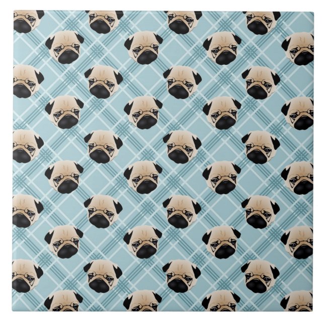 Pugs na xadrez azul (Frente)