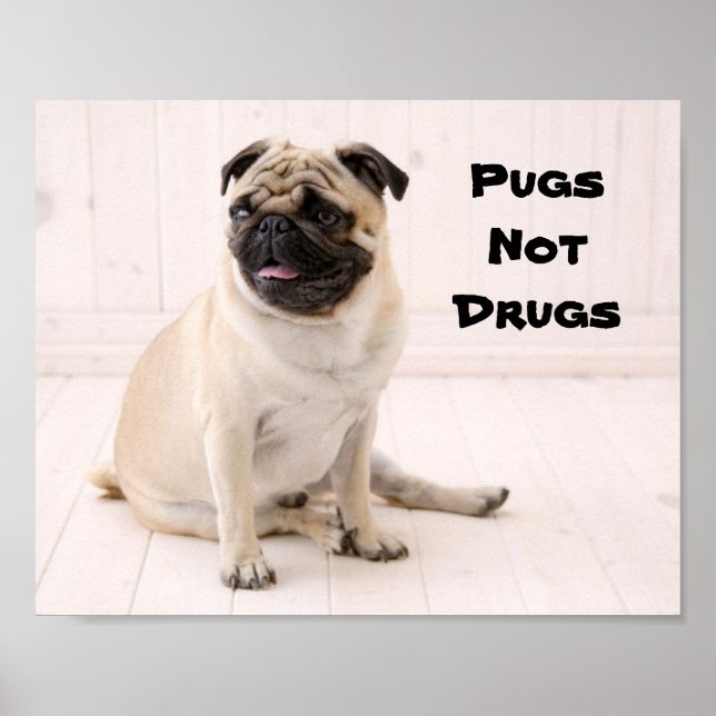 Pugs Not Drugs Poster (Frente)