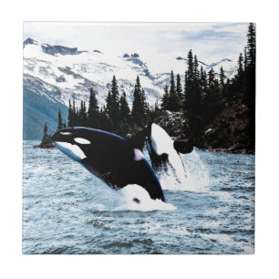 Pulando a orca