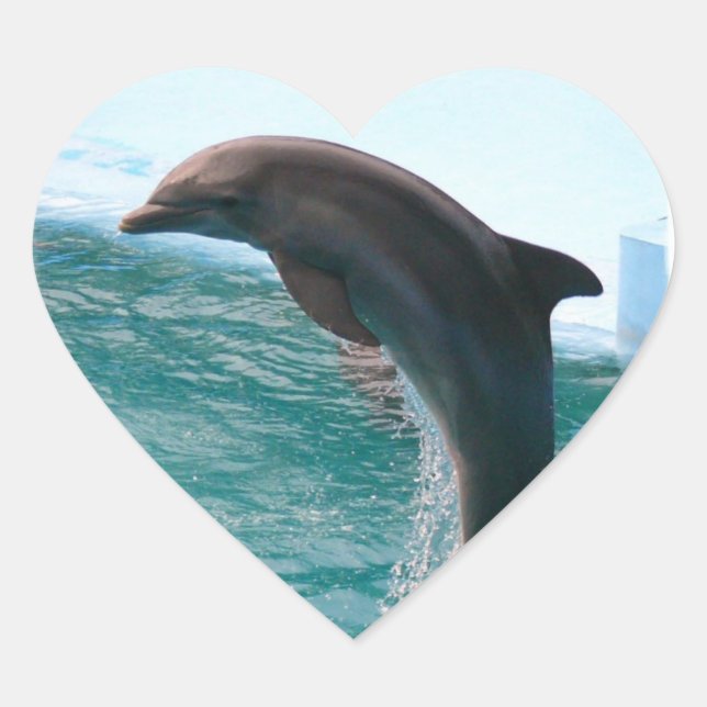 Pulando adesivos de Golfinhos (Frente)