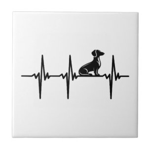 Pulsação para cães Dachshund leais