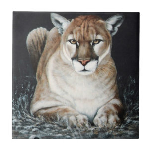 Puma de agachamento