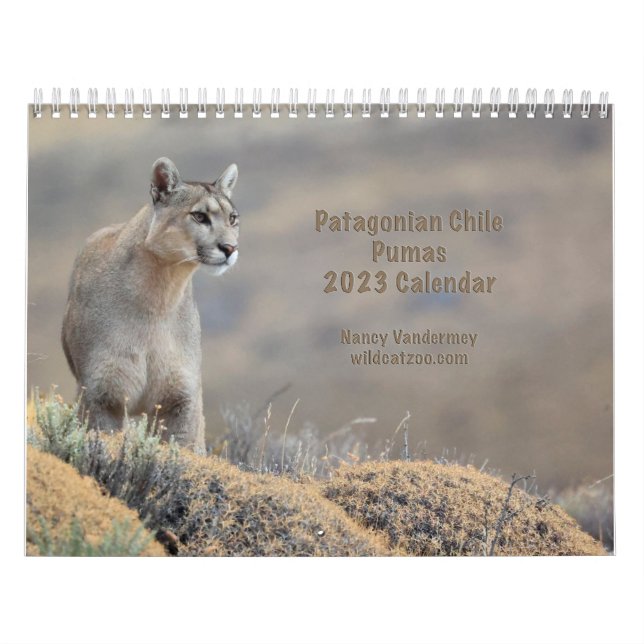 Pumas do Calendário 2023 do Chile (Capa)