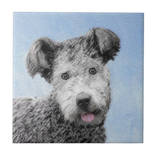 Pumi Painting - Bela Arte Cachorra Original