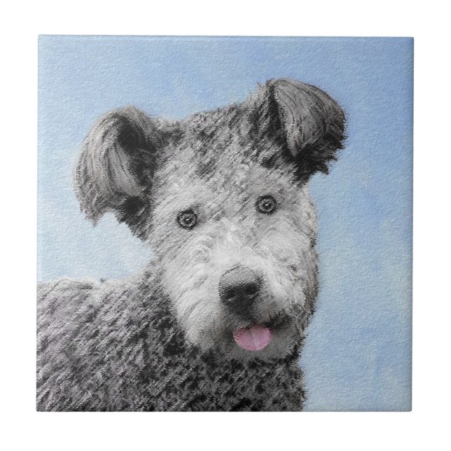 Pumi Painting - Bela Arte Cachorra Original (Frente)