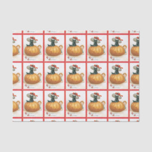 Pumpkin E Papel Tecido De Gato Preto