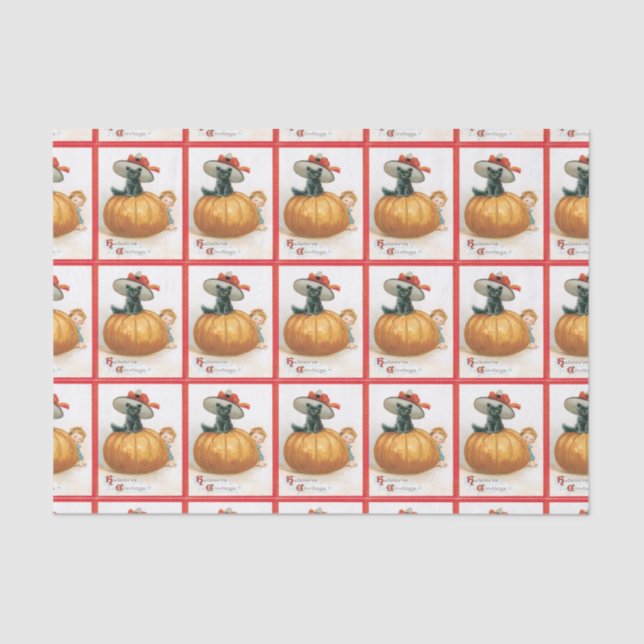 Pumpkin E Papel Tecido De Gato Preto (Frente )