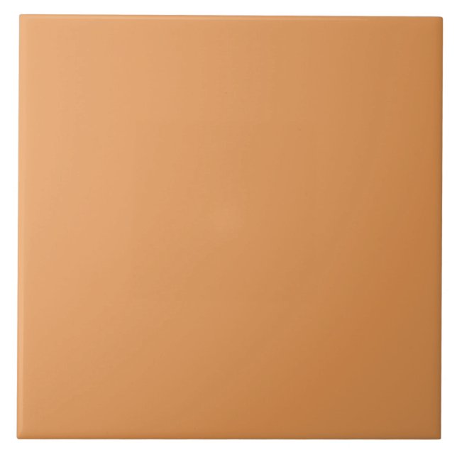 Pumpkin Spice Color | #E69855  (Frente)