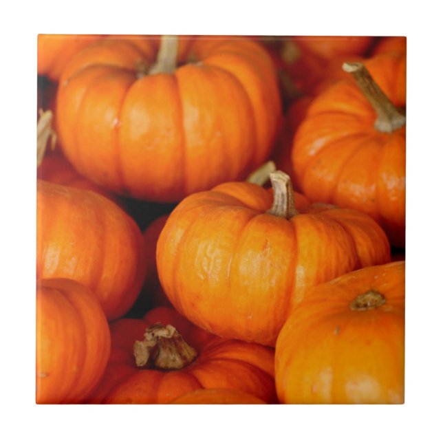 Pumpkins (Frente)