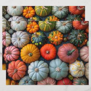 Pumpkins Colorida Gourds Scrapbook Squash