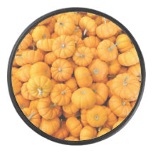 Pumpkins de Colheita de Pequeno Laranja