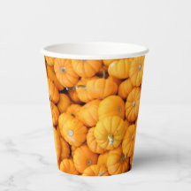 Pumpkins de Colheita de Pequeno Laranja