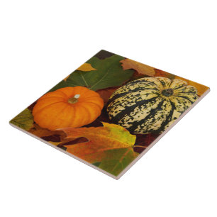 Pumpkins e Folhas