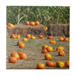 Pumpkins, Milho e Fotografia de Colheita de outono