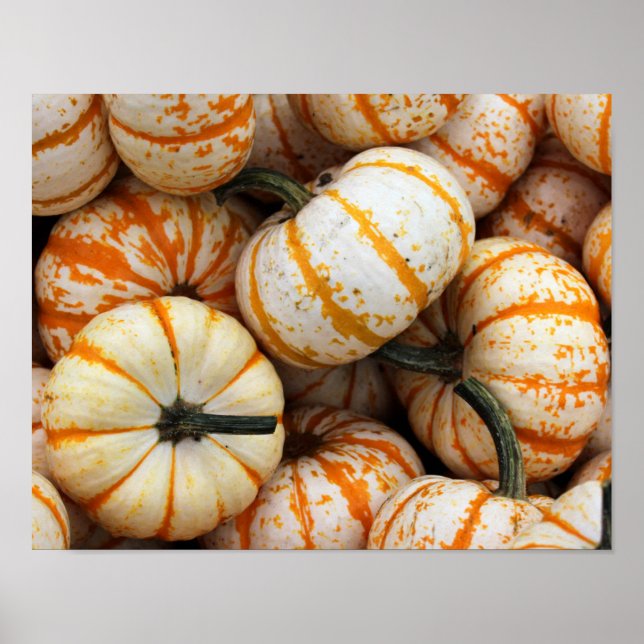 Pumpkins Poster (Frente)