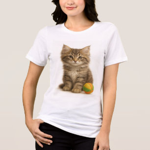 Punt Pendente - Maine Coon Kitten