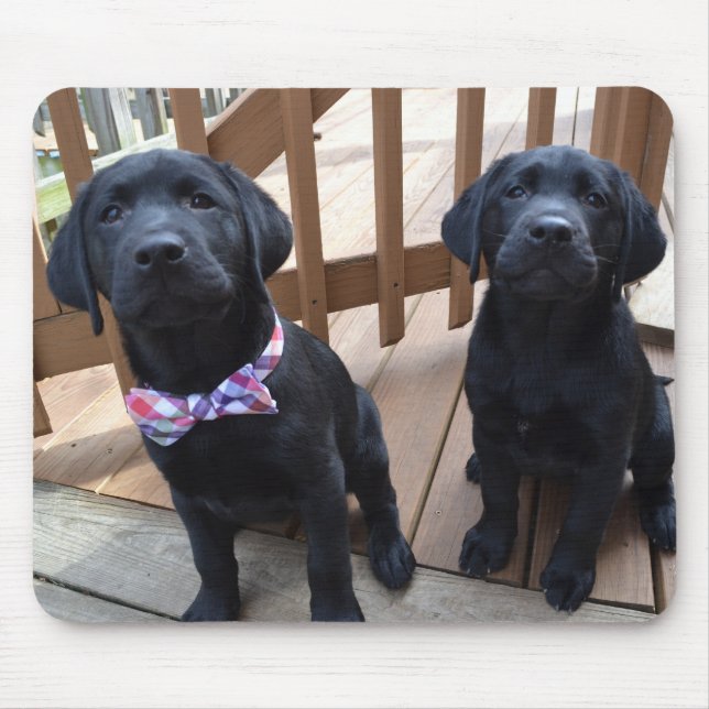 Puppies Mousepad (Frente)