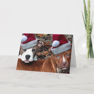 Puppies saudando cartões de Natal