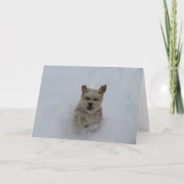 Puppy dashing através do cartão de saudação da nev