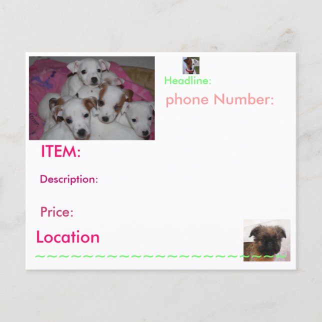 Puppy Flyers (Frente)