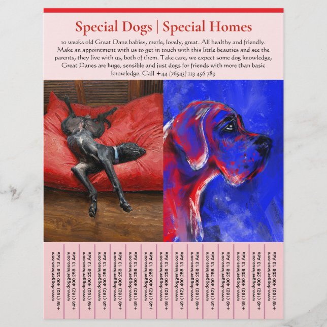 puppy for sale flyer templates (Frente)