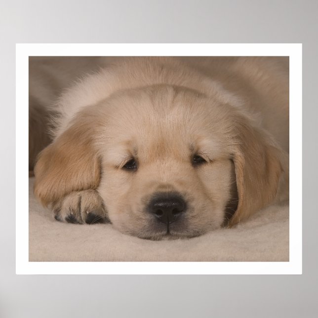 Puppy Love. Poster por cARTerART (Frente)