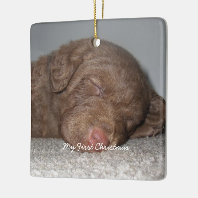 Puppy Meu Primeiro Ornamento Fotográfico De Natal (Esquerda)