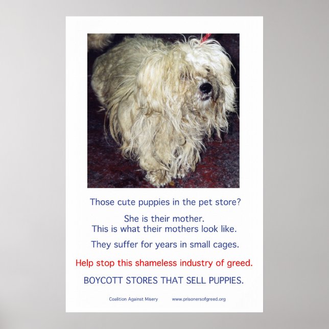 Puppy Mills Breed Misery Poster (Frente)