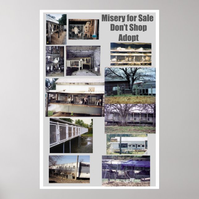 Puppy Mills Breu Poster de Miséria (Frente)