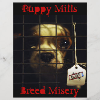Puppy Mills Flyer