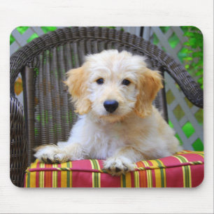 Puppy Mousepad de ouro